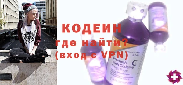 индика Богданович