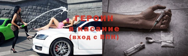 индика Богданович
