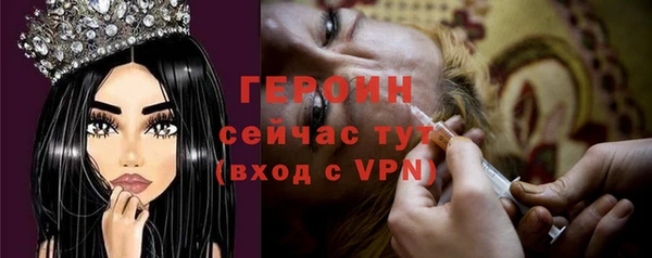 индика Богданович