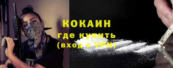 индика Богданович