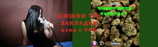 крисы Богородск