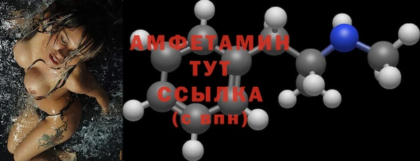 твердый Богородицк