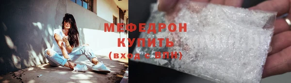 индика Богданович