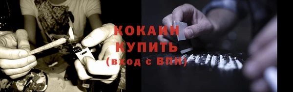 крисы Богородск