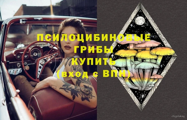 индика Богданович