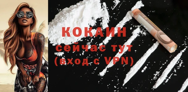 твердый Богородицк