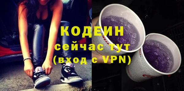 индика Богданович